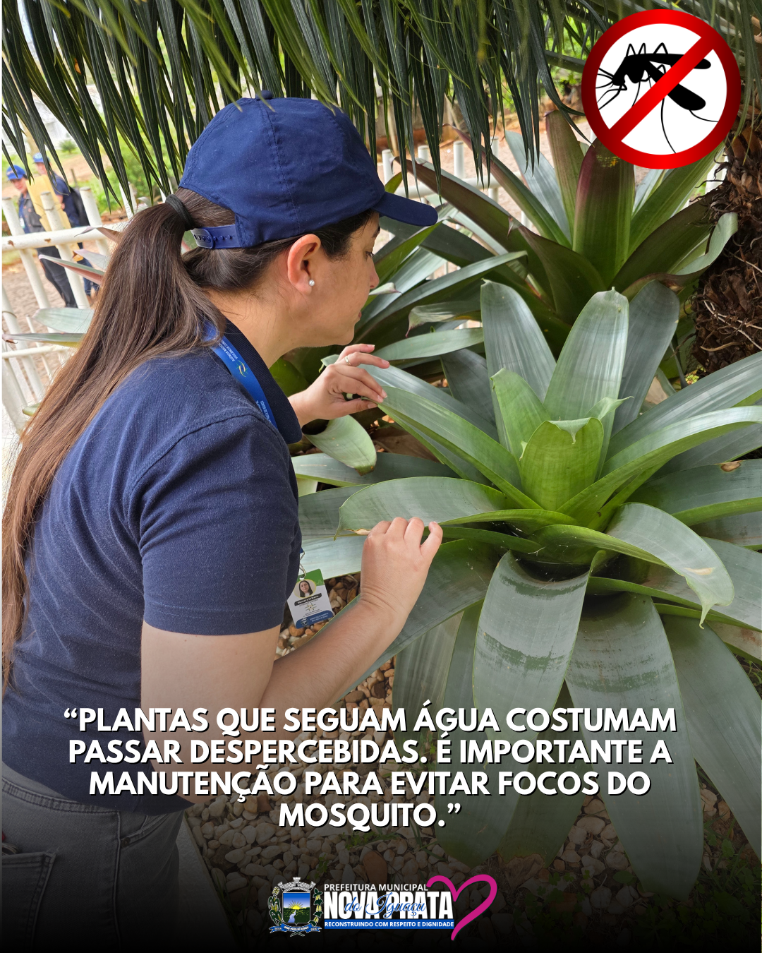 INÍCIO DA FISCALIZAÇÃO DE FOCOS DE DENGUE NA REGIÃO DOS LAGOS