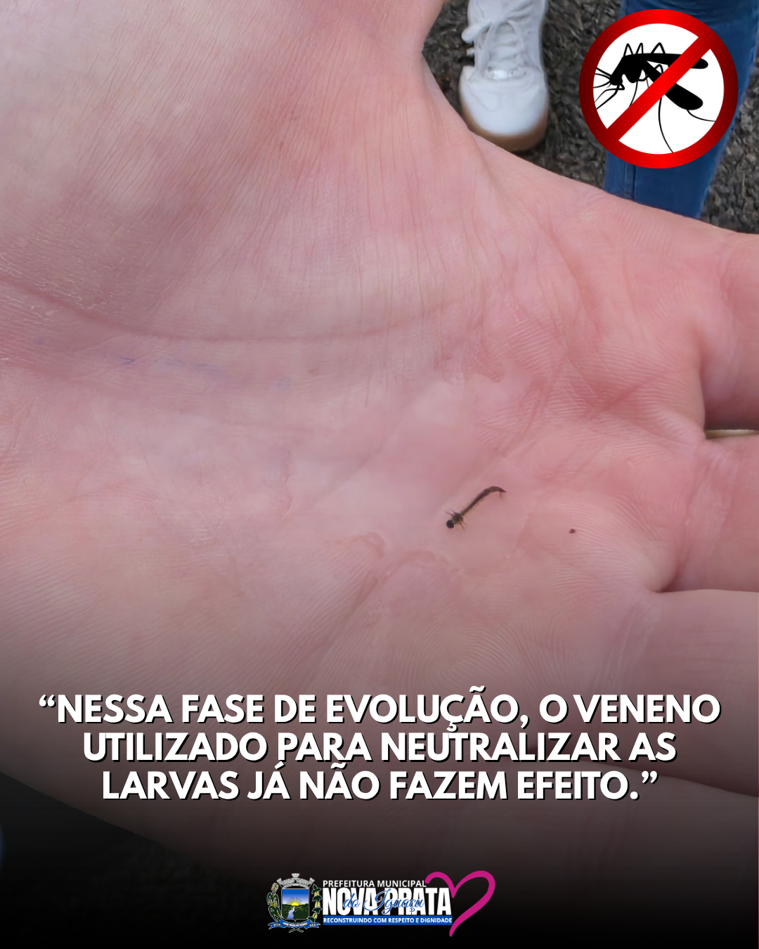INÍCIO DA FISCALIZAÇÃO DE FOCOS DE DENGUE NA REGIÃO DOS LAGOS